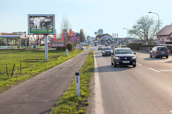 Premium Board ansfelden